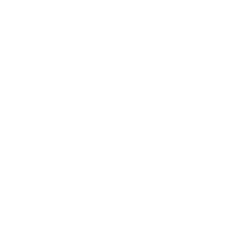 LANIUS Logo