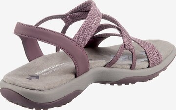 SKECHERS Hiking Sandals 'Reggae' in Purple