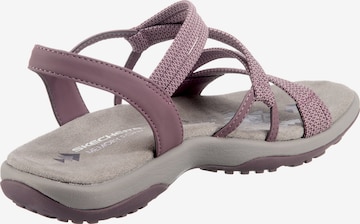 SKECHERS Hiking Sandals 'Reggae' in Purple