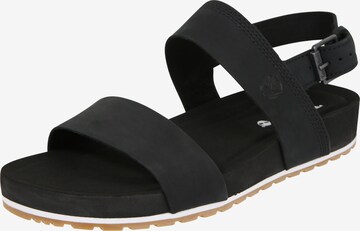 TIMBERLAND Strap Sandals 'Malibu Waves' in Black: front