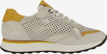 Paul Green Sneaker in Beige