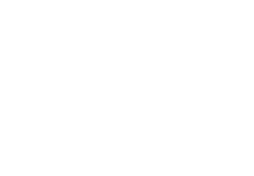 ALEKO Logo