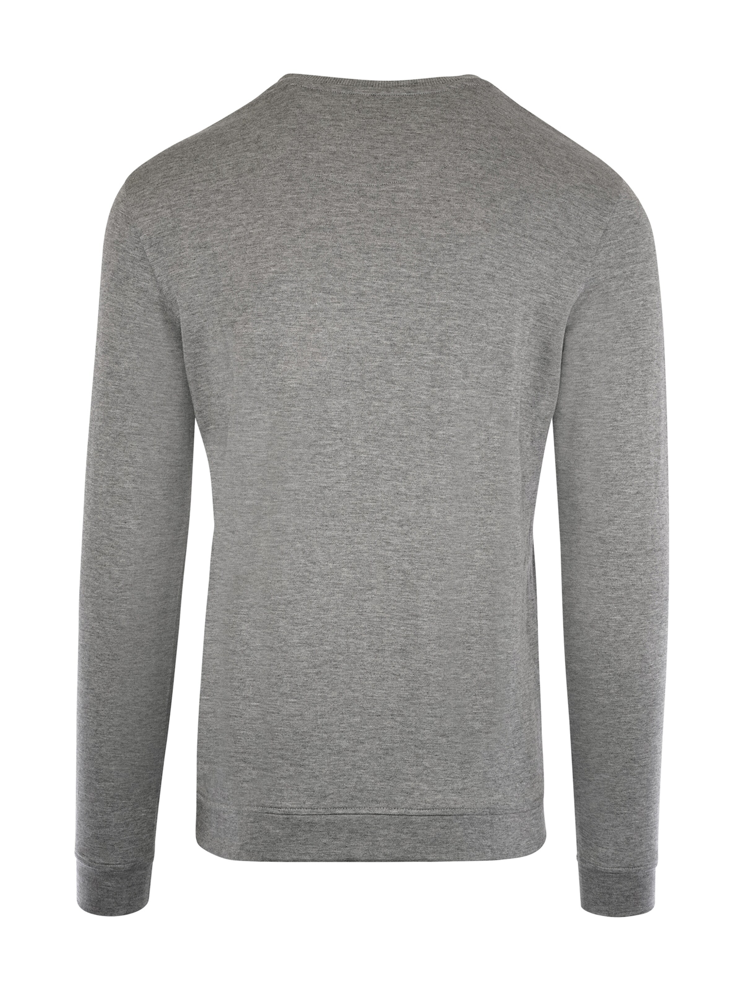 JBS OF DENMARK Свитшот в Серый