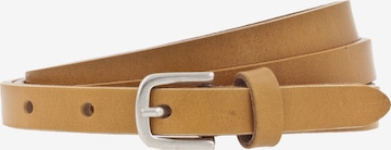 VANZETTI Belt in Yellow: front