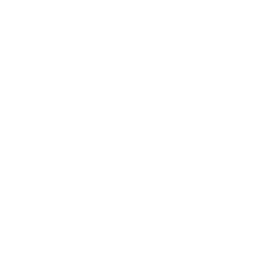 Pineapples Don't Have Sleeves Logo