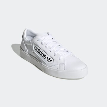 Baskets basses ADIDAS ORIGINALS en blanc