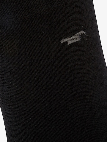 TOM TAILOR Ponožky – šedá