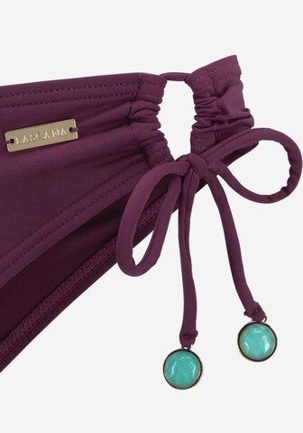 Bandeau Bikini LASCANA en violet