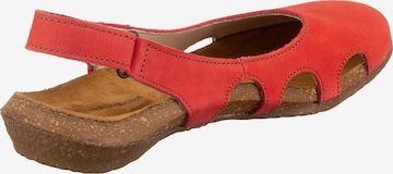 EL NATURALISTA Ballet Flats with Strap in Orange