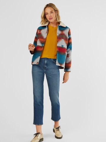 Iriedaily Between-season jacket 'Team Sherpa' in Mixed colours