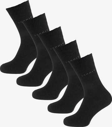 ESPRIT Socks in Grey: front