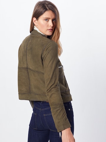 Veste mi-saison 'Hamill' Maze en vert : derrière