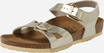 BIRKENSTOCK Босоножки 'Rio' в Золотой: спереди