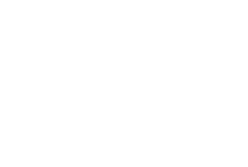 DESOTO Logo