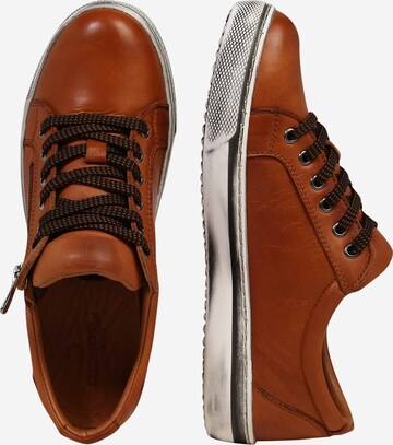 COSMOS COMFORT Sneakers in Brown