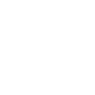 Bigardini Logo