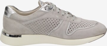 SIOUX Sneaker in Grau