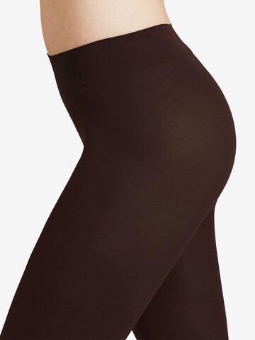 FALKE Fine Tights in Brown