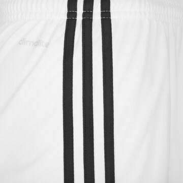 ADIDAS PERFORMANCE Regular Shorts 'Squadra 17' in Weiß