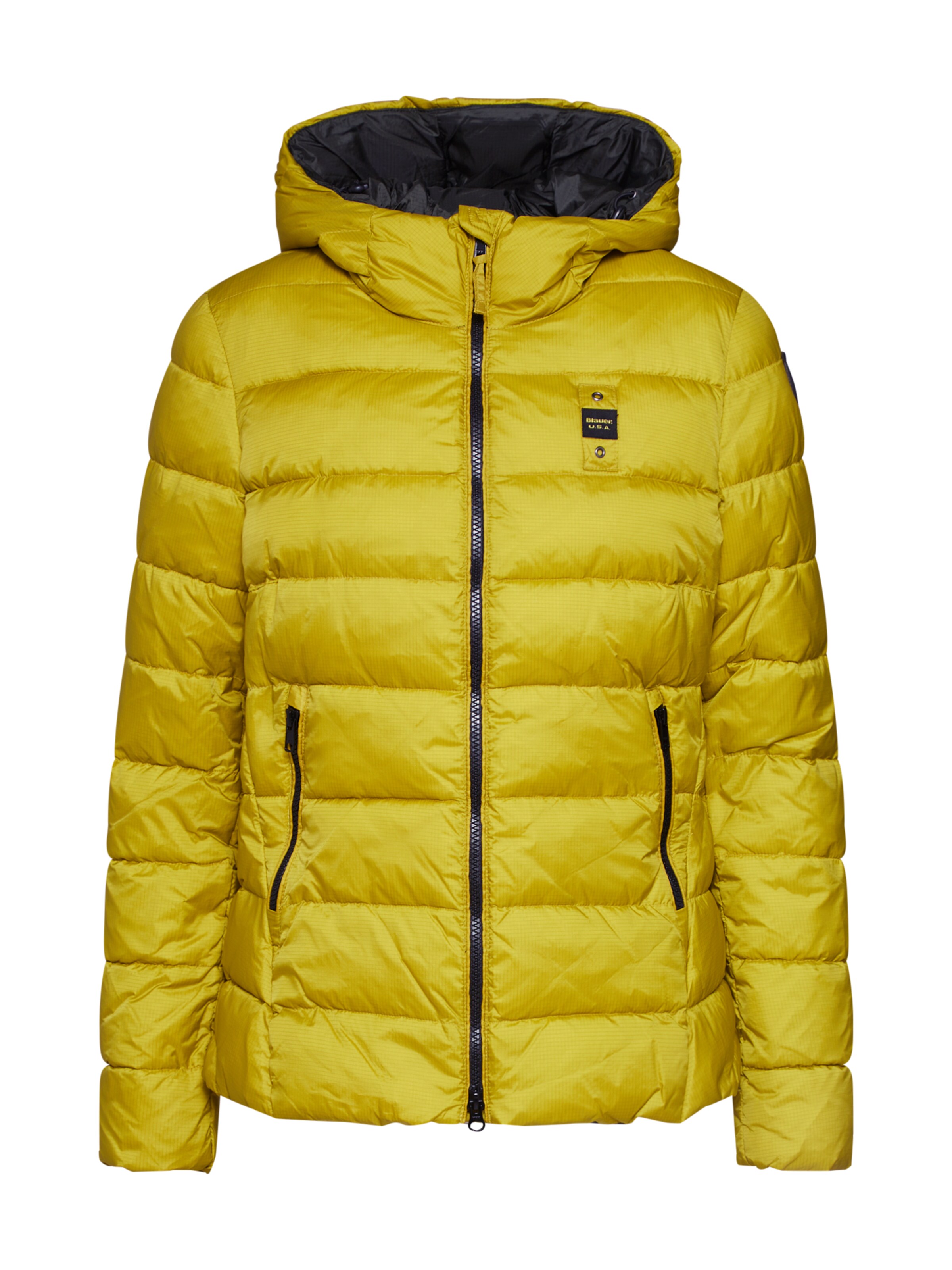 Blauer.USA - Winterjas 'GIUBBINI CORTI IMBOTTITO OVATTA' in de kleur Geel