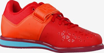 ADIDAS PERFORMANCE Sportschuh 'Powerlift.3.1' in Rot