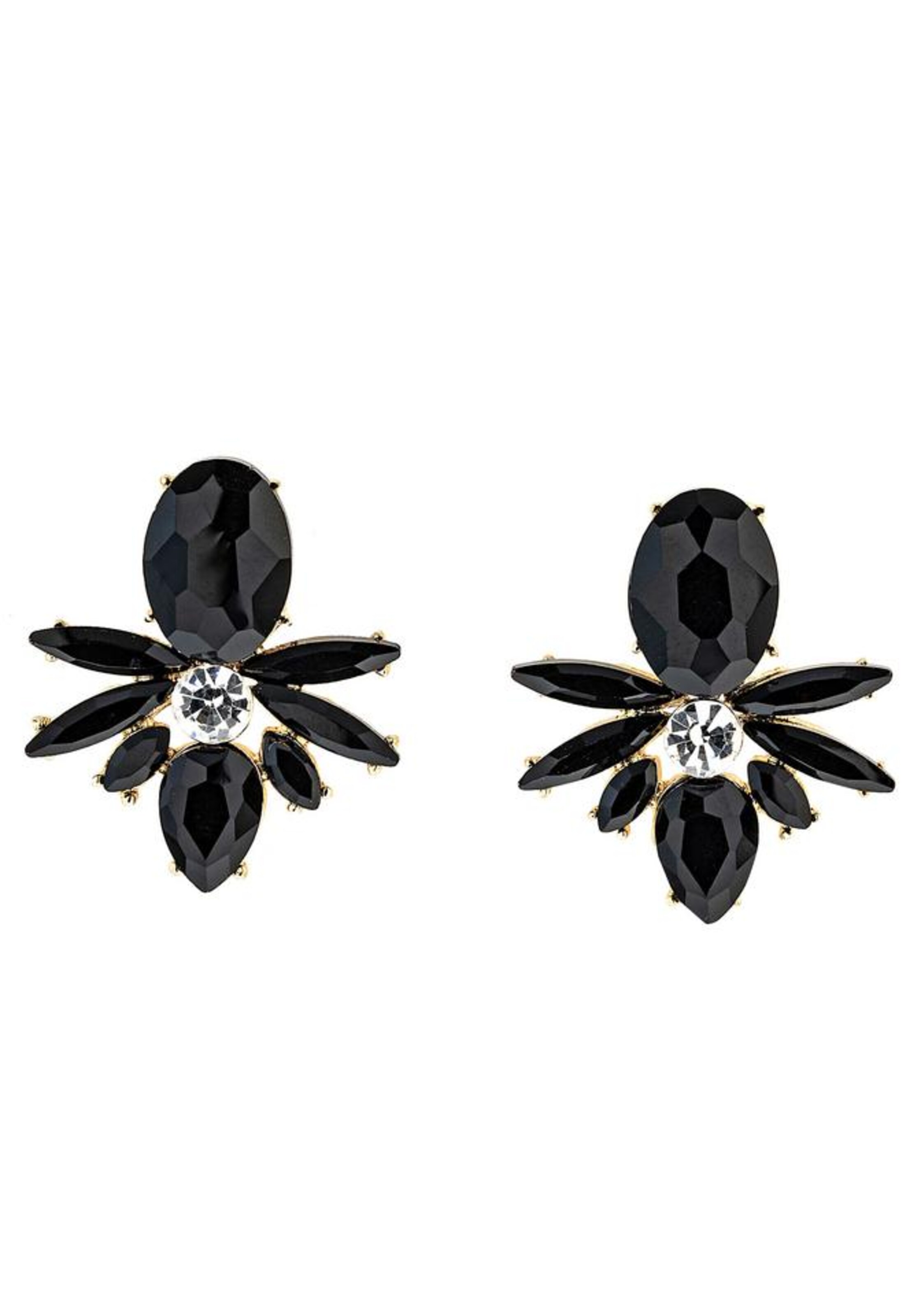J. Jayz Earrings in Black: front