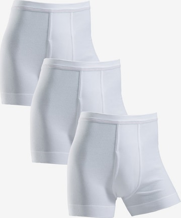 CLIPPER Boxer shorts in White: front