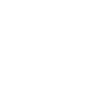 BASSIGUE Logo