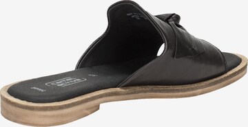 CAMEL ACTIVE Pantolette in Schwarz