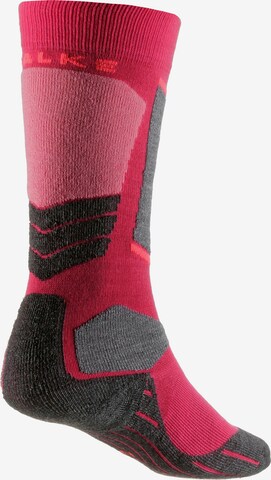 FALKE Athletic Socks in Mixed colors