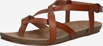 Blowfish Malibu T-bar sandals 'GRANOLA-B' in Brown: front