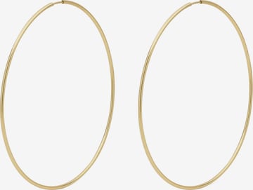 Pilgrim Earrings 'Sanne' in Gold: front