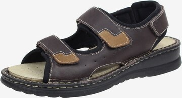 ROHDE Sandals in Brown: front