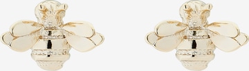 Ted Baker Earrings 'BEELII' in Gold: front