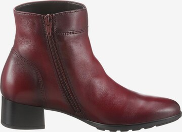 GABOR Ankle Boots in Red