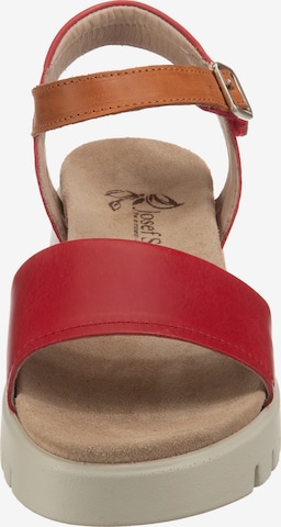 JOSEF SEIBEL Strap Sandals 'Thea 05' in Red