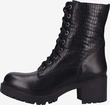 ILC Stiefelette in Schwarz