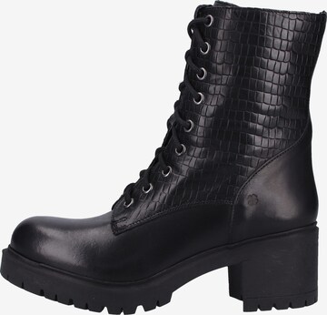 ILC Lace-Up Ankle Boots in Black