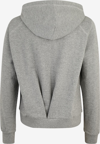 CHIEMSEE Athletic Sweatshirt in Grey: back