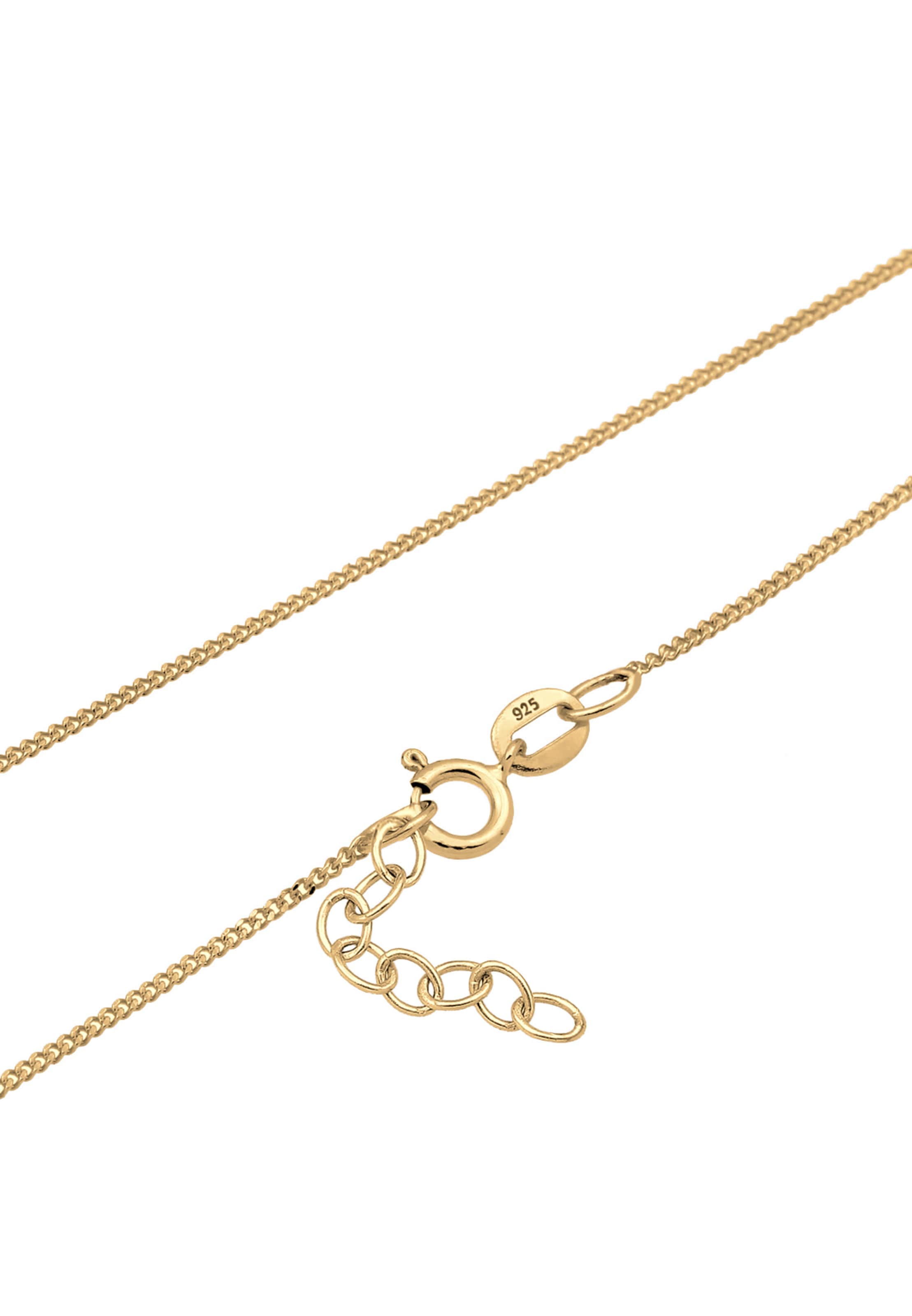 ELLI Kette 'Fisch' in Gold