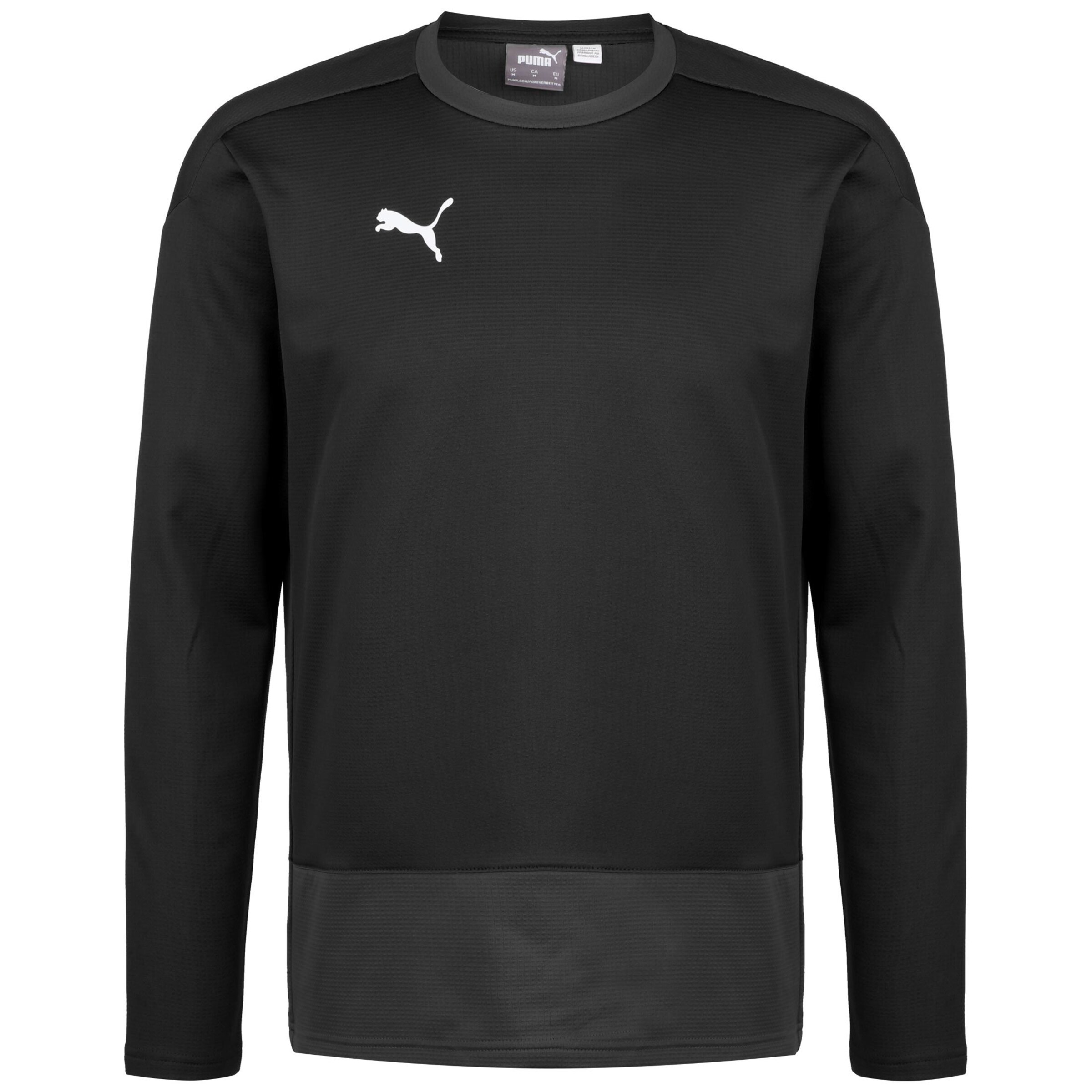 PUMA Trainingssweat 'TeamGOAL 23' in Schwarz: Vorderseite