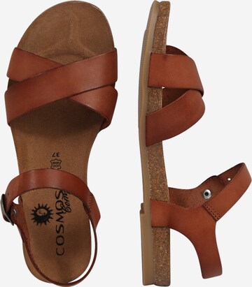 COSMOS COMFORT Sandal in Brown