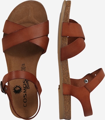 COSMOS COMFORT Sandals in Brown