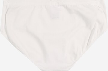 Sous-vêtements SCHIESSER en blanc : derrière