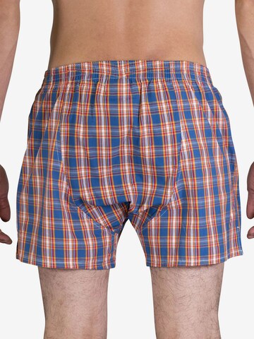 Sugar Pine Boxer shorts 'Classic Check' in Blue
