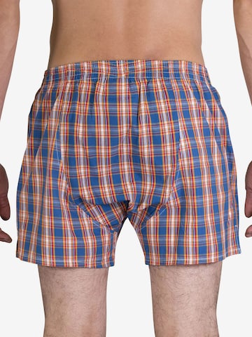 Sugar Pine Boxershorts 'Classic Check' in Blau