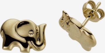 FIRETTI Ohrstecker 'Elefanten' in Gold: predná strana