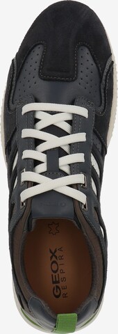 GEOX Sneaker in Schwarz