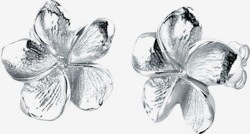 Cercei 'Frangipani Blüte' de la ELLI pe argintiu
