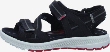 ECCO Sandals 'Terra' in Black